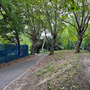 Downhills Park