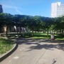 St Paul's Green