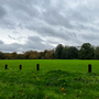 Bedfords Park