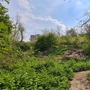 Ox Bow Island