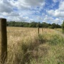 Waterworks Nature Reserve