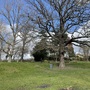Raphael Park