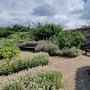 Waltham Abbey Gardens