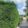 Waltham Abbey Gardens