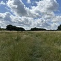 Britannia Meadows