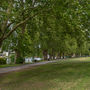 Canbury Gardens