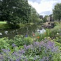 Riverside Gardens & Boats