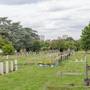 Surbiton Cemetery