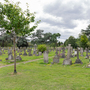 Surbiton Cemetery