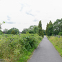 Kingston Cemetery and Crematorium