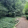 Strawberry Hill House - The Wilderness Woodland Walk