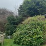 Penkerris Guest House