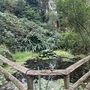 Crystal Palace Park - Secret Garden