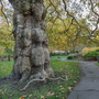 Brunswick Square Gardens