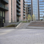 Wembley Urban Gardens