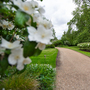 Park Square Gardens