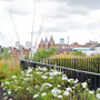 Camden Rooftop