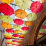 Camden Market