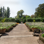 Holland House Gardens