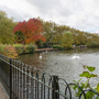 Finsbury Park - Lake