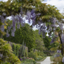 Fulham Palace - Walled Garden