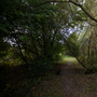 Fairlop Waters Country Park - Lakes