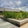 Norcross Library Box Garden