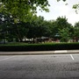 Thrasher Park