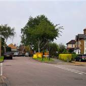 Wantsunt Road