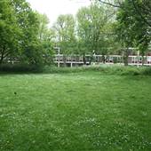Dickens Fields