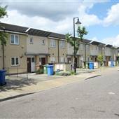 Peckham Grove
