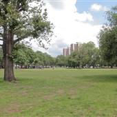 Shepherds Bush Common