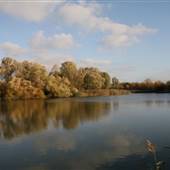Bedfont Lakes Country Park