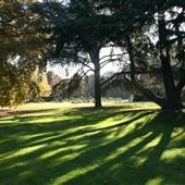 Gunnersbury Park - Gardens