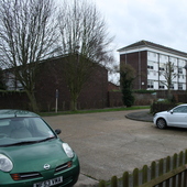 Copper Beech Close
