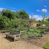 Kitchen Garden (Chiswick House & Gardens)