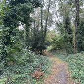 Crystal Palace Park - Secret Garden