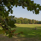 Holland Park - Main Lawn