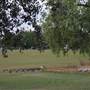 Streatham Common