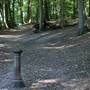 Croham Hurst