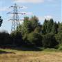 Littleheath Woods