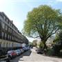 Canonbury Square