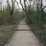 One Tree Hill