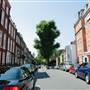 Hampstead Streets