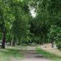 Clapham Common