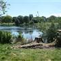 Danson Park