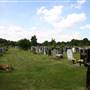 St Pancras and Islington Cemetery