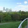Stave Hill