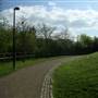 Stave Hill