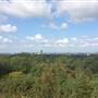 Addington Hills Viewing Platform